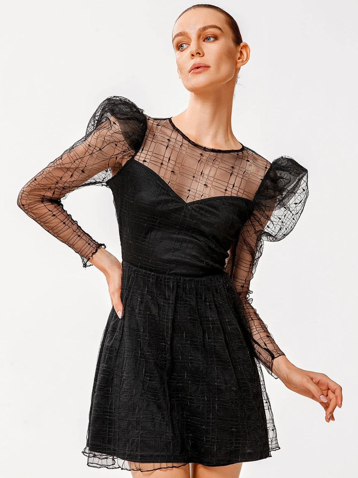 KittenAlarm - Women Fashion See Through sexy butterfly dot embroidery lace dress short skirt Gigot sleeve dress