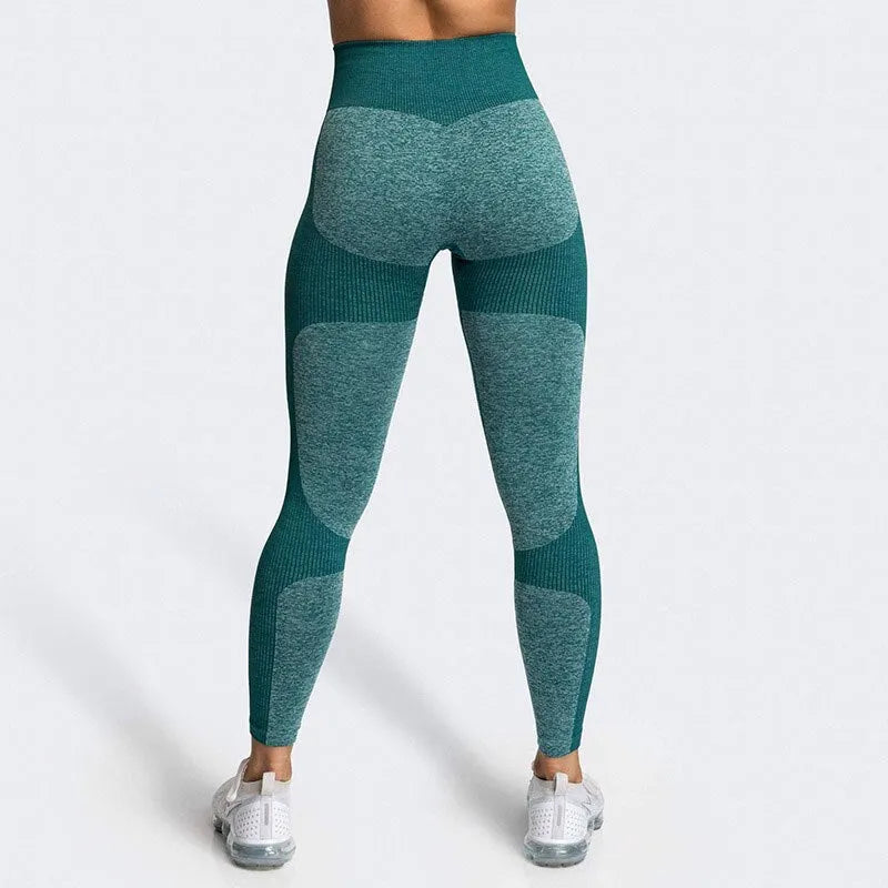 KittenAlarm - Mojoyce Seamless Push Up Leggings Women Gym Clothing Fitness Yoga Pants Workout High Waist Tights Sportswe