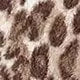 Double-Sided Arctic Print Leopard Hooded Pajama Set